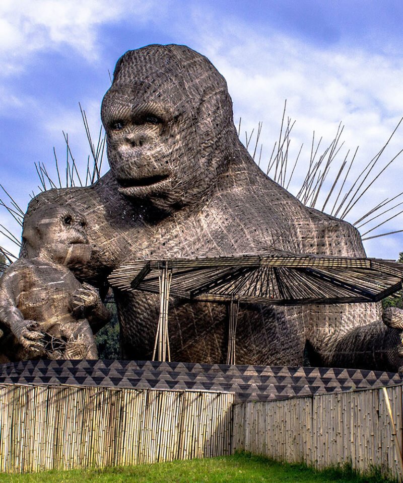 Rwanda | Musanze Gorilla monument